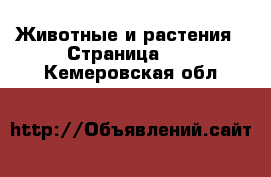  Животные и растения - Страница 11 . Кемеровская обл.